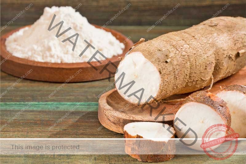 Cassava-Flour-Basic-Knowlege