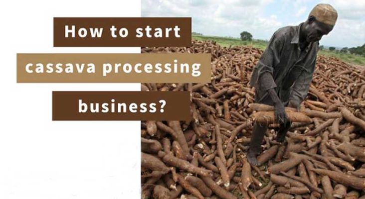 How-to-Start-Cassava-Processing-Business